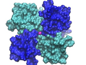 Kalium-Kanal kcsa Biologie Kanal Ionen-Kanal Modell molekular-Modell Kalium protein 3d print model - Mito3D