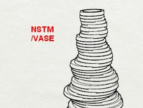 nstm ringvase jason 3d printing tests vase 3d print model - Mito3D