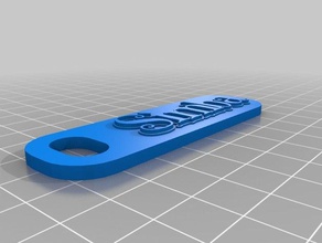 simba tag de l'organisation personnalisé 3d print model - Mito3D