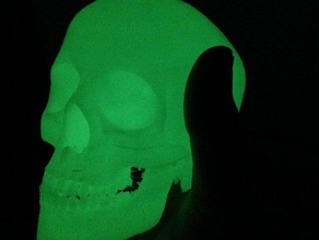 teo cranio biologia babanastas umano theoharis 3d print model - Mito3D