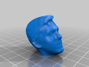 nick head scan people 3d print model - Mito3D