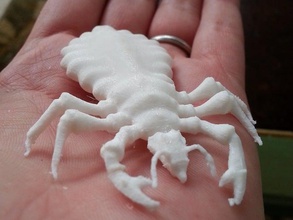 louse animals disgusting eww gross insect lice parasite discussting 3d print model - Mito3D