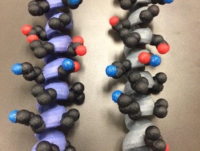 leucine zipper biology 2zta helix model molecule pdb protein teaching 3d print model - Mito3D