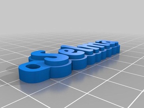 selma organização personalizado 3d print model - Mito3D