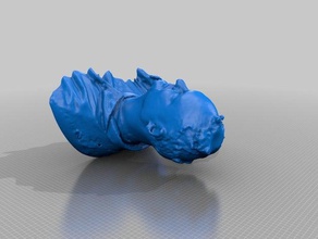 tristan scans & replicas sense scanner 3d print model - Mito3D