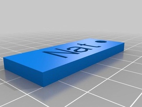 nat nombre de la etiqueta llaveros personalizado 3d print model - Mito3D