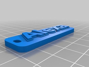 alexa keychain organization customized 3d print model - Mito3D