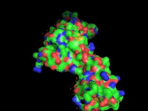 hıv caspid öğrenme protein virüs 3d print model - Mito3D