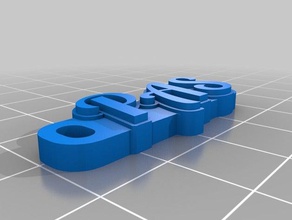 pas keychain organization customized 3d print model - Mito3D