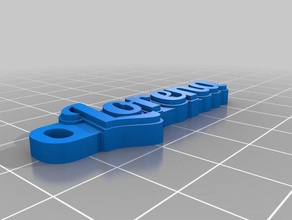 llavero lorena organizzazione su misura 3d print model - Mito3D