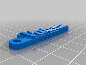 valente keychain organization customized 3d print model - Mito3D