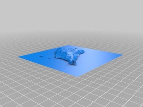 iwo jima learning 3d print model - Mito3D