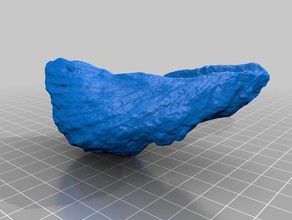 fosil modelos 3d print model - Mito3D