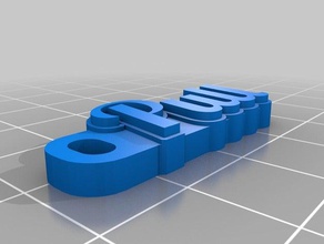 meu personalizados hd puxe a tag de porta-chaves organização personalizado 3d print model - Mito3D