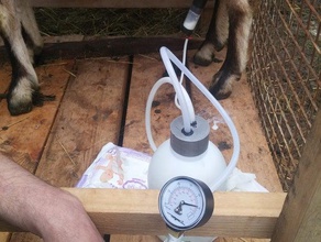 milking lid goat vacuum 3d print model - Mito3D