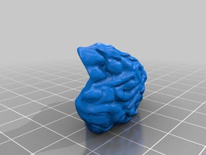 frog guts biology 3d print model - Mito3D