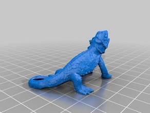dragon barbu animaux de lézard le reptile 3d print model - Mito3D