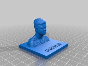 selfie projeto scans e réplicas do busto a mim planeta xerox sam weber série 3d print model - Mito3D