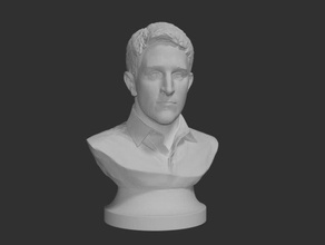 snowden easier printing sculptures 3d print model - Mito3D