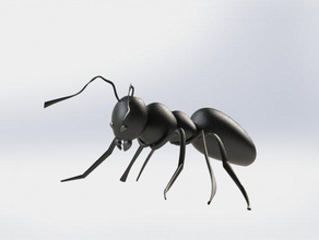 ant modèle 3d animaux Modèle L'impression animal noir la fourmi noire formicarium gadget les insectes trousseau de clés le monstre 3d print model - Mito3D