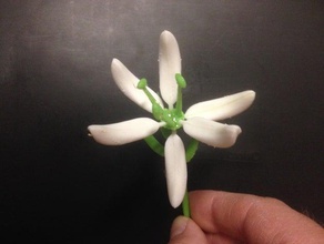 stargazer lily de tri décor la fleur mère fête des mères 3d print model - Mito3D