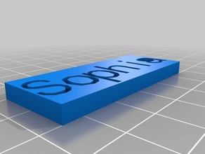 mon personnalisés dog tag de porte-clés personnalisé 3d print model - Mito3D