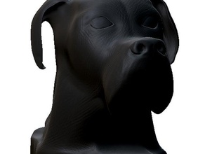busto cão 2 A impressão 3d do cães 3d print model - Mito3D