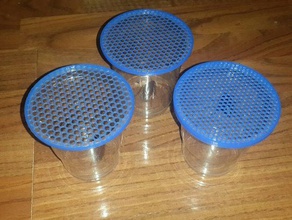 disposable cup lid bug cage containers customizer insect 3d print model - Mito3D