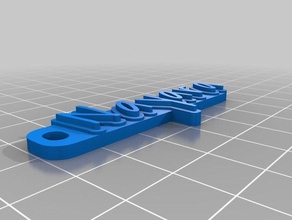 nayara organización personalizado 3d print model - Mito3D