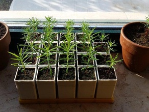 seedling grid pots outdoor & garden flower pot germinator plant seed seedlings spotting 3d print model - Mito3D