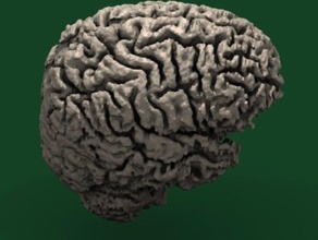 human brain other 3d blender model mri 3d print model - Mito3D