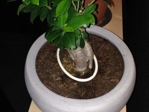 l'arrosage de l'anneau extérieur et jardin l'art du bonsaï le jardinage garduino arrosage des plantes l'eau système d'arrosage 3d print model - Mito3D
