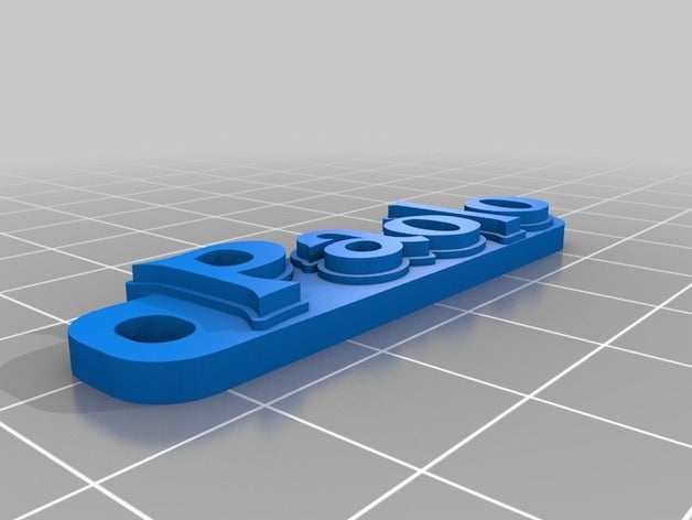 paolo organization customized 3D print model - Mito3D