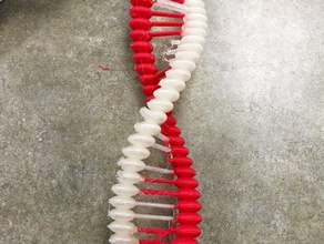 dna molekülü biyoloji hayvan hücre serin insan molekül 3d print model - Mito3D