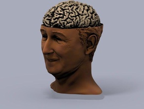 brainywalt other walt diney 3d blender head model disney 3d print model - Mito3D