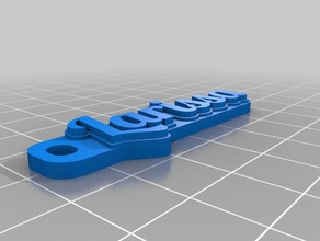 larissa organização personalizado 3d print model - Mito3D