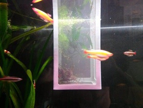 fish shrimp breeding box pets aquarium tank 3d print model - Mito3D