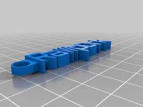 rawporkkeychain organizzazione personalizzato 3d print model - Mito3D