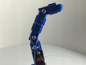 modüler parmak sistemi Robotik knuckles sistem servo 3d print model - Mito3D
