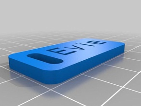evie key chain organization customized 3d print model - Mito3D