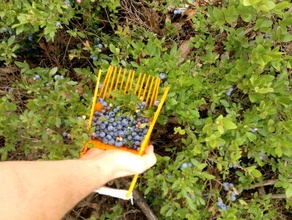 blueberry rake exterior e jardim mirtilo ferramenta de mão escolha 3d print model - Mito3D