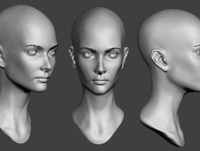 mulher chefe de esculpir pessoas do busto feminino a cabeça 3d print model - Mito3D
