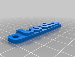 louis de l'organisation personnalisé 3d print model - Mito3D