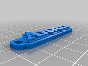 anna tag llavero organización personalizado 3d print model - Mito3D
