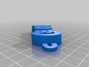 cami ismini organizasyon özelleştirilmiş 3d print model - Mito3D