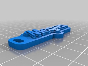 my customized multiline tag keychain megan organization 3d print model - Mito3D