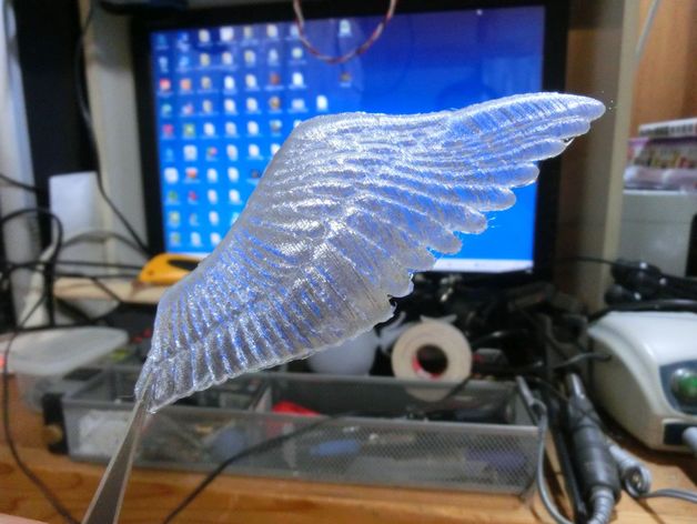 de l'aile art 3D print model - Mito3D