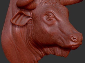 bull head animals 3d printing bust model trophy 3d print model - Mito3D