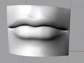 mouth biology 3d print model - Mito3D
