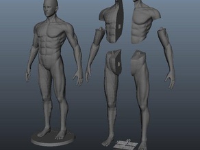 mediocremalestatue sculptures anatomy male polygon statue 3d print model - Mito3D